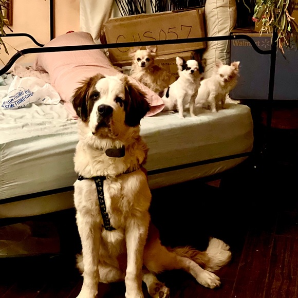 Meet your Posher, Genji - Picture 13 of 16